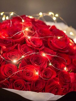 50 Fresh Organic Red roses with a string of illuminating string lights